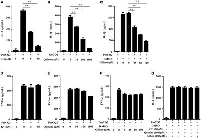 The Critical Role of Potassium Efflux and Nek7 in Pasteurella multocida-Induced NLRP3 Inflammasome Activation